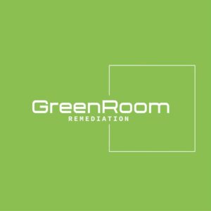 Mold Remediation in NYC