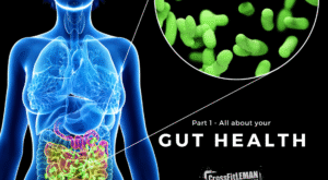 Healthy Digestion Guide for Everyday Wellness