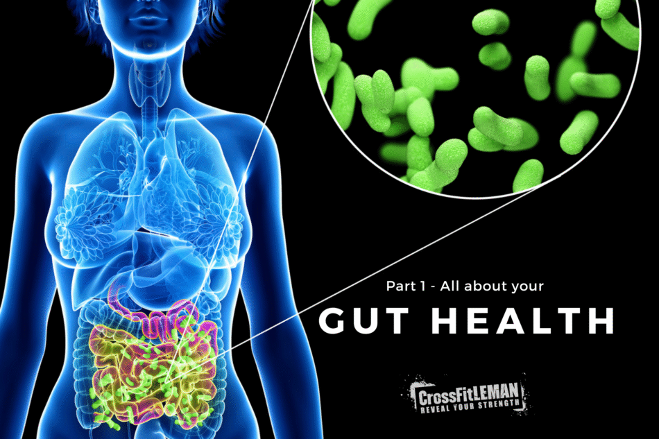 Digestive Health: A Complete Guide to a Happier, Healthier Gut