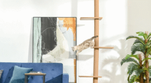 How to Choose the Right Spot in Your House for a Cat Tree
