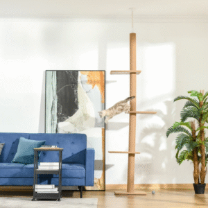 How to Choose the Right Spot in Your House for a Cat Tree