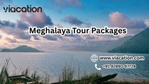 Which Meghalaya Tour Packages Include Adventure Activities?
