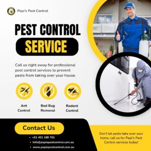 Costs for Pest Control Treatments in Melbourne