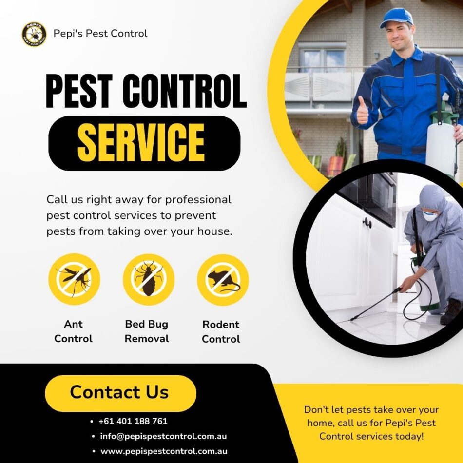 Costs for Pest Control Treatments in Melbourne