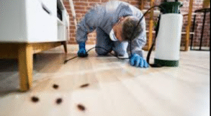 Pest Control Service in Porterville, CA: Why Sheriff Pest Control Is the Community’s Trusted Choice?