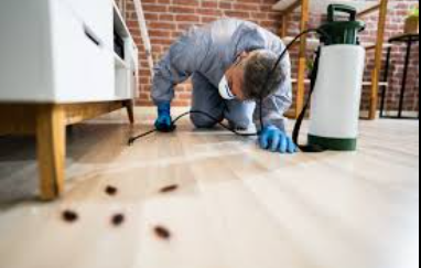 Pest Control Service in Porterville, CA: Why Sheriff Pest Control Is the Community’s Trusted Choice?