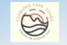 Your Complete Cape Town Tourist Guide for Unforgettable Excursions