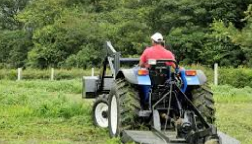 Professional Brush Management Services for Okeechobee Landowners