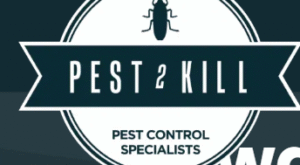 Effective Pest Management Solutions for Homes and Businesses