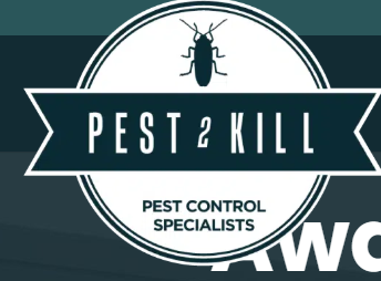 Effective Pest Management Solutions for Homes and Businesses