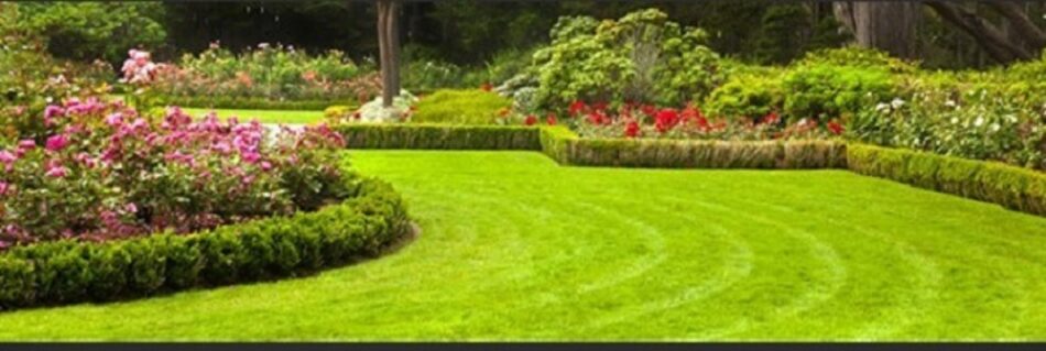 Expert Garden Clean Up Services to Transform Your Outdoor Space