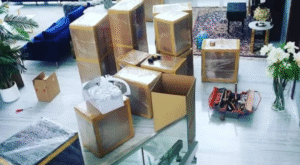 Best Movers in Al Ain Professional Moving & Packing Services