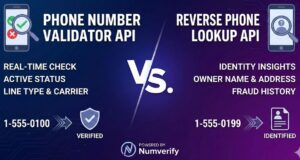 Validator vs. Lookup: Unlocking the Difference Between a Phone Number Validator API and Reverse Lookup