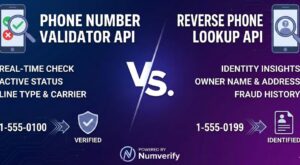 Validator vs. Lookup: Unlocking the Difference Between a Phone Number Validator API and Reverse Lookup