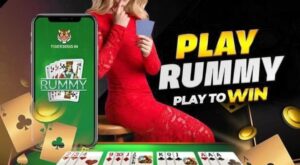 Tiger Exchange WhatsApp Number: How to Get Your Betting ID Instantly