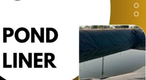 The​‍​‌‍​‍‌​‍​‌‍​‍‌ Test of Time: A Durability Analysis of Pond Liner Longevity ⏳