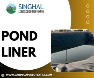 The​‍​‌‍​‍‌​‍​‌‍​‍‌ Test of Time: A Durability Analysis of Pond Liner Longevity ⏳