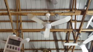 How Agricultural Ceiling Fans Improve Airflow, Animal Comfort, and Farm Productivity