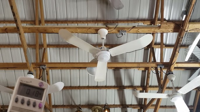 How Agricultural Ceiling Fans Improve Airflow, Animal Comfort, and Farm Productivity