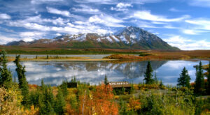 Discover a World of Unmatched Luxury and Exceptional Value