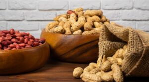 Experts Of Deals – Leading Peanuts Exporter in India Delivering Quality Worldwide