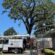 Professional Tree Care That Protects Your Property and Enhances Its Beauty