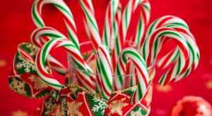 Christmas Candy Cane Ideas for Decorating, Baking & Gifting