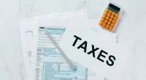 Choosing The Right Tax Return Services For Your Business Needs