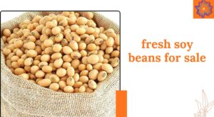 Why Fresh Soy Beans for Sale Are in High Demand This Season