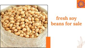 Why Fresh Soy Beans for Sale Are in High Demand This Season