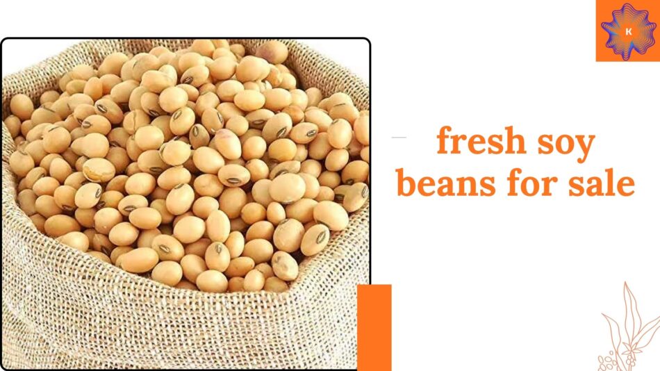 Why Fresh Soy Beans for Sale Are in High Demand This Season
