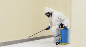 How Bed Bug Exterminators Use Heat to Eradicate Infestations