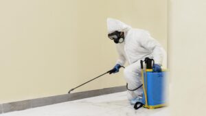How Bed Bug Exterminators Use Heat to Eradicate Infestations
