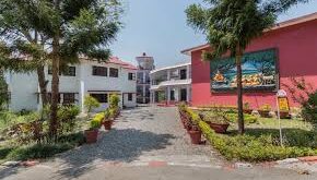 Experience Quality Education at The Pestleweed School