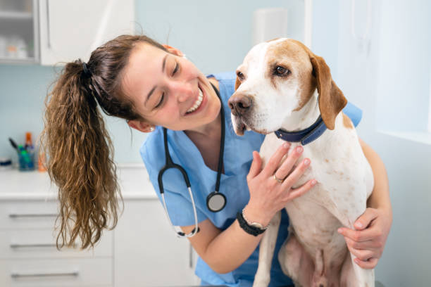 Park Hills Animal Hospital’s Top 10 Foods for a Balanced Pet Nutrition Plan