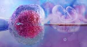 IVF Medications Explained: Understanding Your Protocol