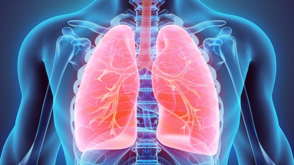 Improve Lung Health Naturally and Effectively