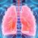 Lung Health: A Complete, Simple Guide for Better Breathing