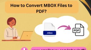 Everything You Want to Know About Best MBOX to PDF Converter