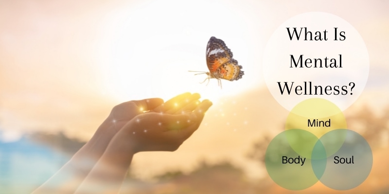 Understanding and Nurturing Mental Wellness