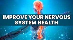 Nerve Health: The Secret to a Strong and Balanced Body