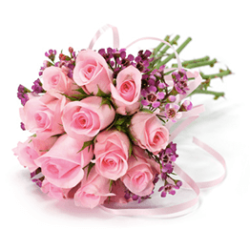 What are the best Flowers For Sister to express love, appreciation, and heartfelt emotions for any occasion in Christchurch?
